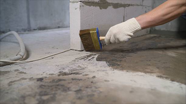 Top rated local Basement Waterproofing specialists in Woodberry Forest, VA